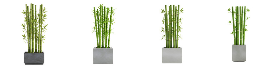 Obraz premium Bamboo Pot Icon – A Minimalist Illustration of Green Bamboo Stalks in a Pot