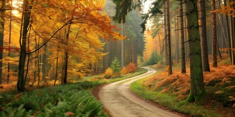 Naklejka premium Autumn road through the forest with colorful fall foliage and trees in a scenic outdoor landscape