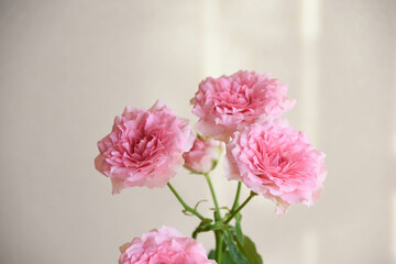 ピンクのスプレーばら