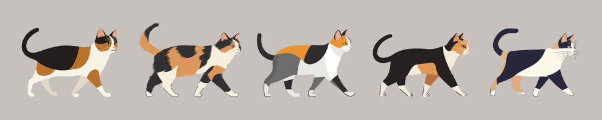 Obraz premium Stylized walking cats isolated illustration, vector set