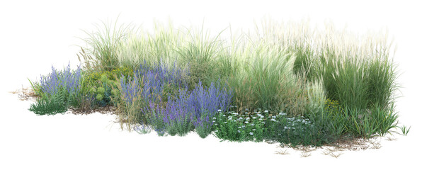 green grass on white