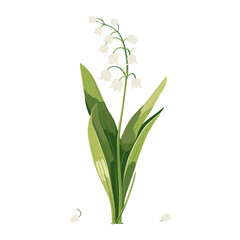 Fototapeta premium Lily of the valley illustration background flower vector