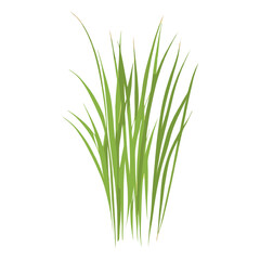 Flat vector of green grass plant illustration vegetation vector