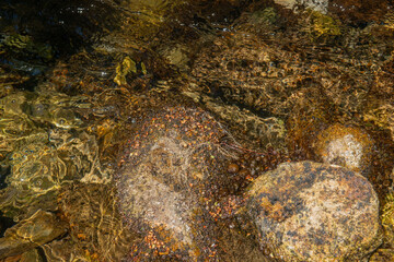 Rocky river ripples background, water texture