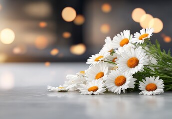 Obraz premium Fresh White Daisies with Bright Orange Centers on a Soft Surface with Blurred Background and Gentle Light Effect