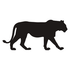 Obraz premium Mountain lion walking silhouette illustration wildlife animal vector