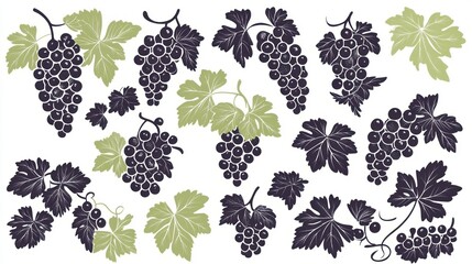 Decorative Grapes Pattern, Isolated, Elegant Design