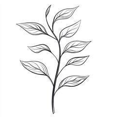 Fototapeta premium Elegant, minimalist tea plant sketch.