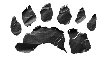 Pieces of torn black paper in animal claw shape png with white transparent background for creative design projects and unique art concepts.
