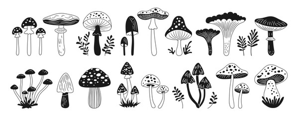 Obraz premium Mushrooms black and white drawn set. Poisonous and edible various doodle mushrooms vector isolated Illustration. Boletus, chanterelle, porcini Amanita Muscaria, agaric cartoon mushrooms glyph art