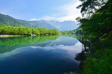 Fototapeta premium 初夏の上高地・大正池