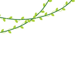 Corner Leaf Vines