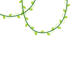 Corner Leaf Vines