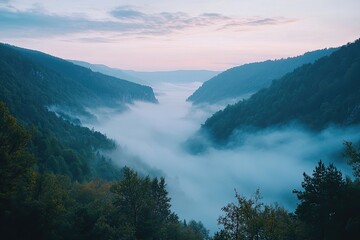 Obraz premium Dreamlike Swiss alpine valley with misty pine forests and lush meadows at sunrise, adventure travel and mindfulness retreat theme.
