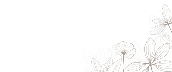 Elegant floral line art background. Botanical template design with flowers, leaves and branches. Vector illustration
