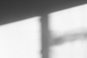 Organic drop diagonal shadow on a white wall, overlay effect for photo