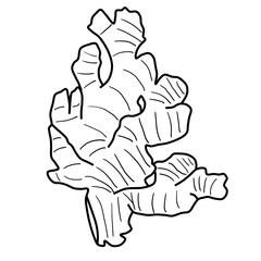 line art ginger