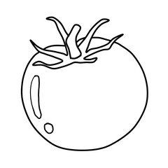 line art tomato