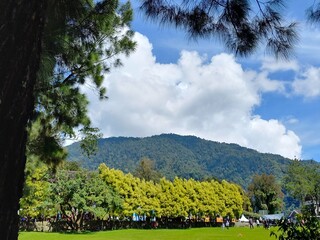 green landscape with yellow trees and a backdrop of mountains under a beautiful sky filled with fluffy clouds, evoking a joyful, lively setting.
