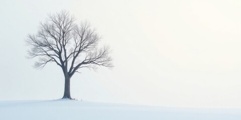 Fototapeta premium Solitary, leafless tree stands in a serene winter landscape, a minimalist scene of pale sky and pristine snow