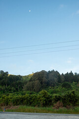 Obraz premium Moon above trees, hills and bush on blue sky evening