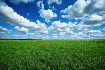 Vibrant green grass spreads across the landscape beneath a bright blue sky dotted with fluffy white clouds, evoking tranquility and the beauty of outdoor living.