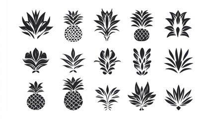 Black stylized floral & pineapple motifs on white. Various graphic elements, nature themed illustrations