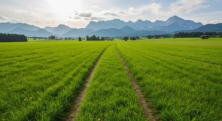 Serene green field gently slopes towards majestic mountains. AI Generated
