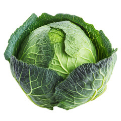 Fototapeta premium Fresh green cabbage isolated png on transparent image nature food