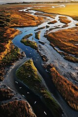 Naklejka premium Coastal estuary a unique ecosystem highlighting birdlife and salt marshes environmental importance