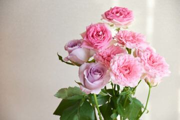 ピンクと紫のばら