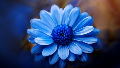 Fototapeta premium close up of a blue flower