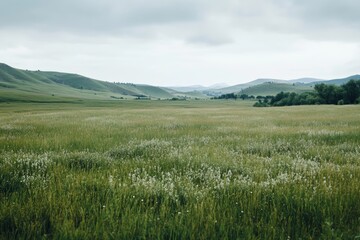 Obraz premium Stunning green hills and meadows landscape on a crisp white background in realistic photography