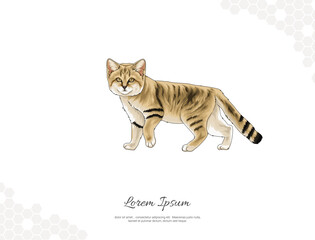 Arabian Sand Cat vector art for wall decoration