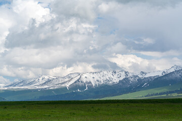 snow mountain landscape, gressland