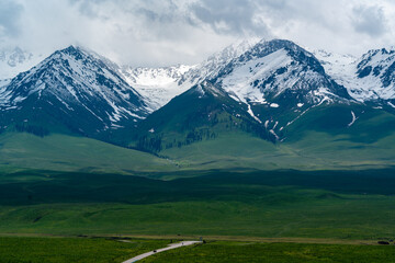 snow mountain landscape, gressland