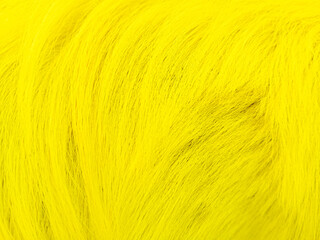 The beautiful background texture from dog fur, close up abstract textured.