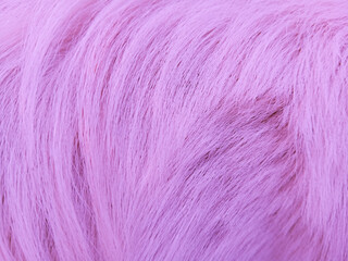 The beautiful background texture from dog fur, close up abstract textured.