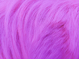 The beautiful background texture from dog fur, close up abstract textured.