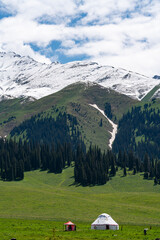 snow mountain landscape, gressland