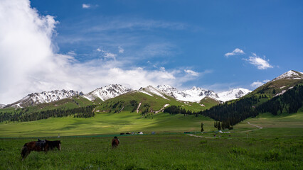 snow mountain landscape, gressland
