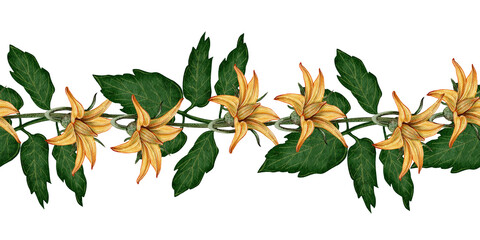 Watercolor seamless border with yellow tomato flowers and green leaves. Ideal for packaging design, menus, labels, culinary projects, organic products and decorative elements.