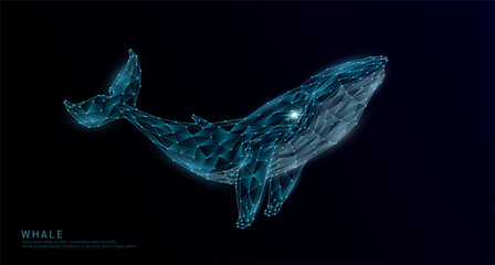 Whale polygon. Fish or deep sea animals on a dark background. For design various advertising media. Vector EPS10.