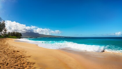 Obraz premium maui hawaii beach coastline of sand sun and blue water with crashing