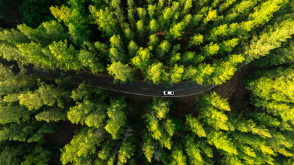 Aerial view of dark green forest road and white electric car Natural landscape and elevated roads...