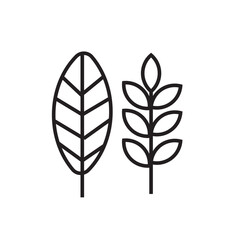 leaf line icon