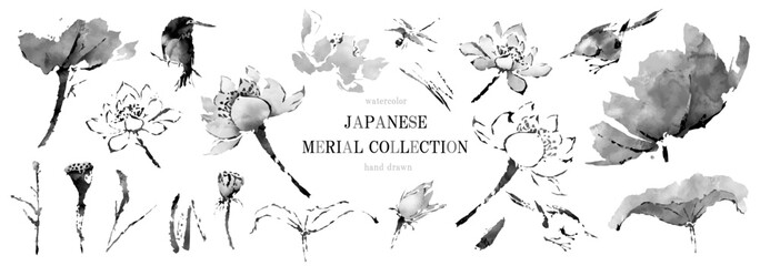 「蓮の花の水墨画」　挿絵集　ベクター、イラスト © surface Change