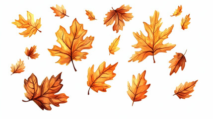 Falling autumn leaves, white background, seasonal design