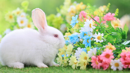 Bunny easter fluffy rabbit eating food, vegetables, carrots, baby corn on green garden nature flowers background on sunny day, Lovely mammal with  bright eyes in nature life. Symbol of easter day.