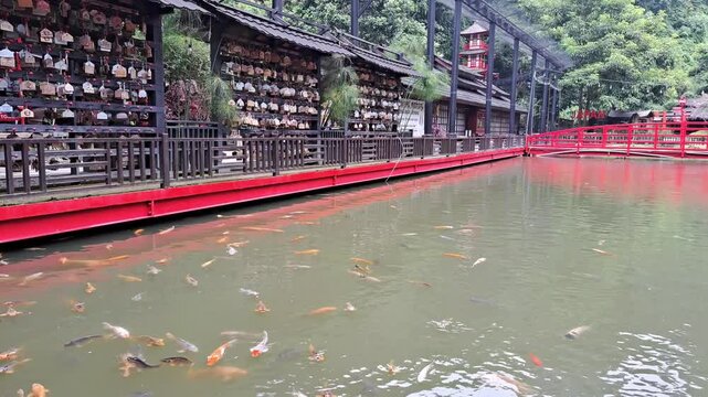 Bandung, indonesia February 28th 2025 : A serene Japanese pond with koi fish and traditional architecture